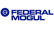 Federal Mogul