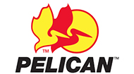 Pelican